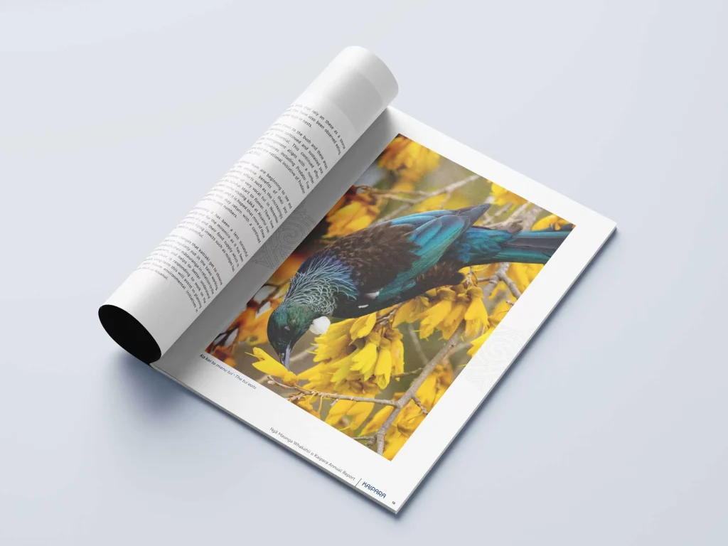 corporate annual report design image layout