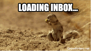 Shocked Squirrel running when 3502 unread emails loaded GIF